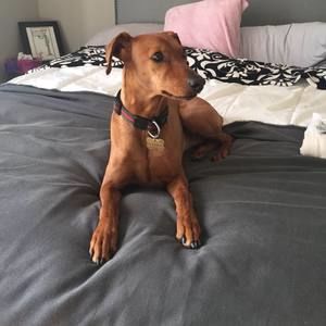 Meet your Posher, Anna